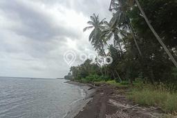 Untuk Dijual Tanah di Buleleng, Luas 16800m2 SHM Untuk Dijual Tanah di Buleleng, Luas 16800m2 SHM