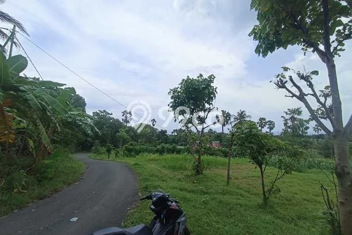 Jarang Ada! Tanah di Tejakula Punya Luas 500000m2 SHM Jarang Ada! Tanah di Tejakula Punya Luas 500000m2 SHM
