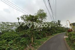 Tanah Strategis Dijual di Busungbiu Buleleng 38500m2 Tanah Strategis Dijual di Busungbiu Buleleng 38500m2