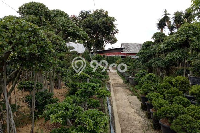 Kavling Tanah Dijual di Parongpong Bandung Barat Spesifikasi 7011m2 Kavling Tanah Dijual di Parongpong Bandung Barat Spesifikasi 7011m2
