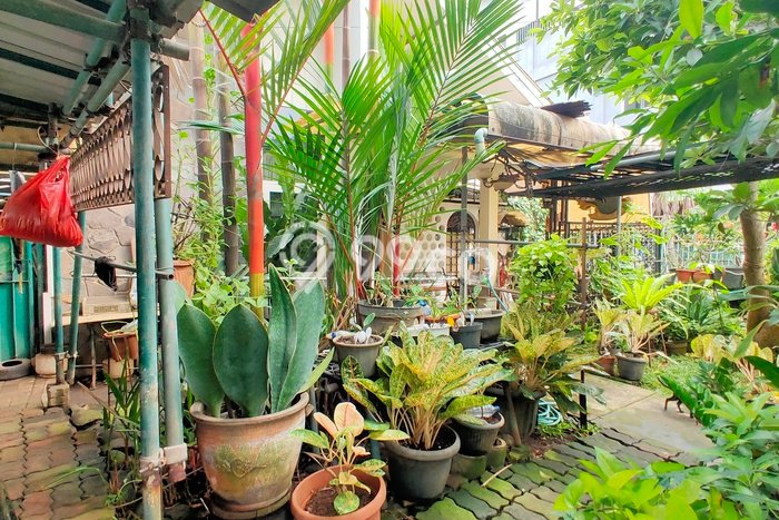 Rumah Luxury Modern Tanpa Renovasi di Tomang Jakarta Barat Rumah Luxury Modern Tanpa Renovasi di Tomang Jakarta Barat