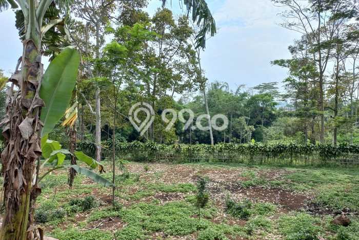 Tanah Kawasan Purwakarta Kota, Luas 170468m², Lokasi Strategis, Lingkungan Asri Tanah Kawasan Purwakarta Kota, Luas 170468m², Lokasi Strategis, Lingkungan Asri