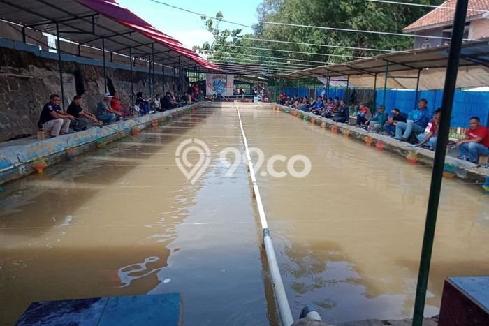 Komersial Dijual di Jatinangor Sumedang dengan Luas Bangunan 500m2 Komersial Dijual di Jatinangor Sumedang dengan Luas Bangunan 500m2