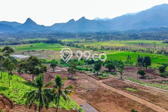 Tanah di Tanjungsari, Bogor Luas 100m2 Dijual Segera Tanah di Tanjungsari, Bogor Luas 100m2 Dijual Segera