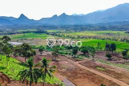 Tanah di Tanjungsari, Bogor Luas 100m2 Dijual Segera Tanah di Tanjungsari, Bogor Luas 100m2 Dijual Segera