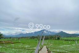 Jarang Ada! Tanah di Tanjungsari Punya Luas 400m2 SHM Jarang Ada! Tanah di Tanjungsari Punya Luas 400m2 SHM