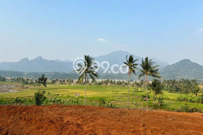 Tanah di Tanjungsari, Bogor Luas 100m2 Dijual Segera Tanah di Tanjungsari, Bogor Luas 100m2 Dijual Segera