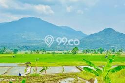 Jarang Ada! Tanah di Tanjungsari Punya Luas 600m2 SHM Jarang Ada! Tanah di Tanjungsari Punya Luas 600m2 SHM