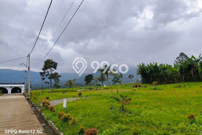 Tanah di Tanjungsari, Bogor Luas 241m2 Dijual Segera Tanah di Tanjungsari, Bogor Luas 241m2 Dijual Segera