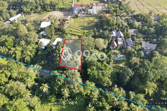 Kavling Tanah Dijual di Kediri Tabanan Spesifikasi 1750m2 Kavling Tanah Dijual di Kediri Tabanan Spesifikasi 1750m2