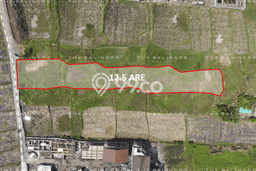 Untuk Dijual Tanah 1250m2 di Cemagi, Badung Untuk Dijual Tanah 1250m2 di Cemagi, Badung