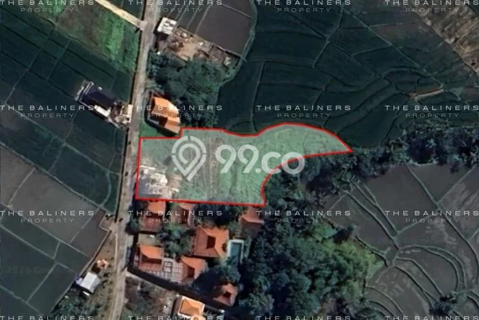 Dijual Tanah 2253m2 di Kedungu, Tabanan Dijual Tanah 2253m2 di Kedungu, Tabanan