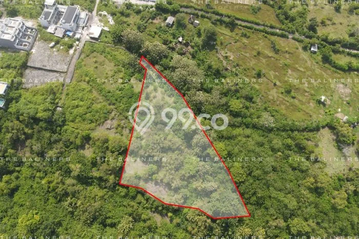 Tanah Kavling Dijual di Bukit, Badung dengan Luas Tanah 5335m2 Tanah Kavling Dijual di Bukit, Badung dengan Luas Tanah 5335m2