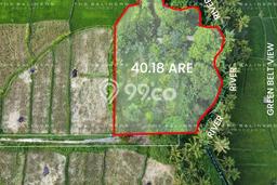 Tanah untuk Dijual Lokasi Ubud, Gianyar Luas 4018m2 SHM Tanah untuk Dijual Lokasi Ubud, Gianyar Luas 4018m2 SHM