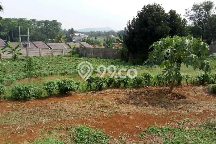 Lahan Kosong Dijual di Parung, Bogor, Luas 3700m2 Area Strategis Lahan Kosong Dijual di Parung, Bogor, Luas 3700m2 Area Strategis