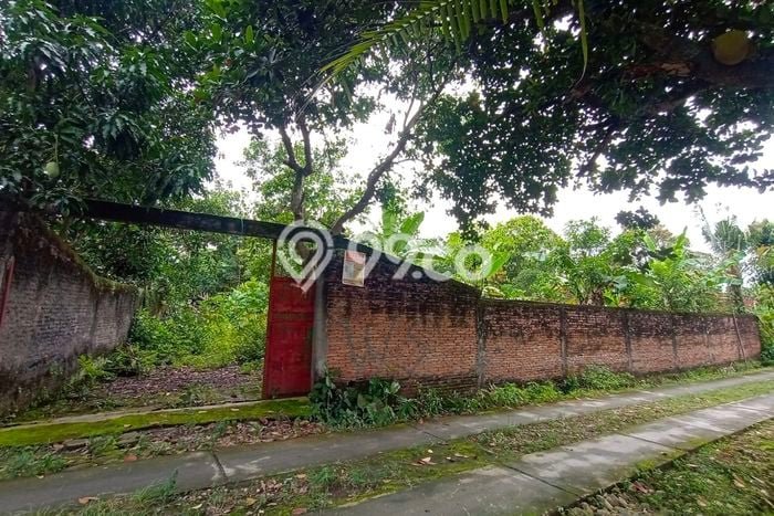 Lahan Kosong Dijual di Purwodadi, Grobogan, Luas 540m2 Area Strategis Lahan Kosong Dijual di Purwodadi, Grobogan, Luas 540m2 Area Strategis