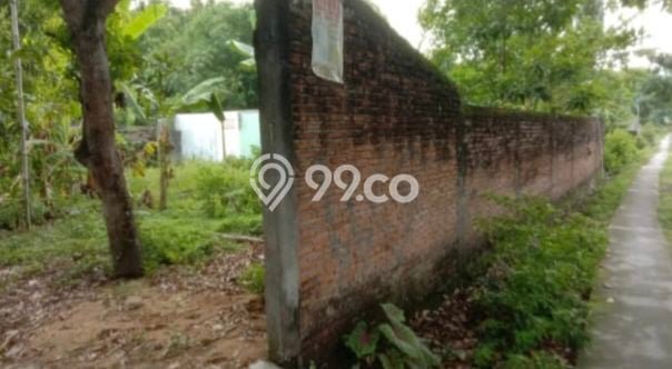 Lahan Kosong Dijual di Purwodadi, Grobogan, Luas 540m2 Area Strategis Lahan Kosong Dijual di Purwodadi, Grobogan, Luas 540m2 Area Strategis