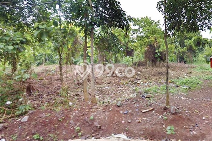 Lahan Dijual Lokasi Serang, Serang dengan Luas Tanah 9105m2 dan Status SHM Lahan Dijual Lokasi Serang, Serang dengan Luas Tanah 9105m2 dan Status SHM