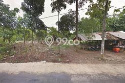 Kavling Tanah di Serang Dijual Luas 9105m2 Legalitas SHM Kavling Tanah di Serang Dijual Luas 9105m2 Legalitas SHM