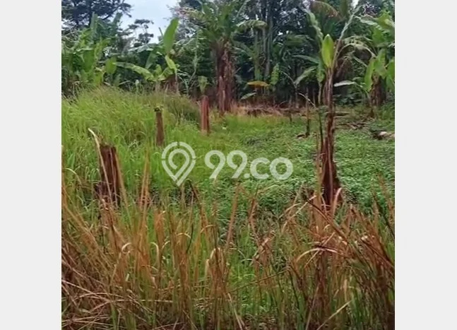 Tanah di Batujajar, Luas 20000m², Kawasan Prospektif, Dekat Batujajar, Bandung Barat, Bandung Barat Tanah di Batujajar, Luas 20000m², Kawasan Prospektif, Dekat Batujajar, Bandung Barat, Bandung Barat