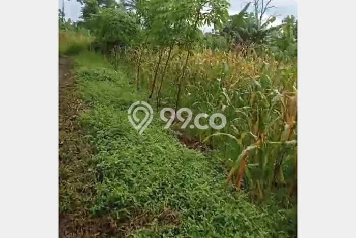 Tanah di Batujajar, Luas 20000m², Kawasan Prospektif, Dekat Batujajar, Bandung Barat, Bandung Barat Tanah di Batujajar, Luas 20000m², Kawasan Prospektif, Dekat Batujajar, Bandung Barat, Bandung Barat