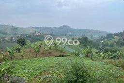 Untuk Dijual Tanah di Cimenyan Bandung Luas 6395m2 - Untuk Dijual Tanah di Cimenyan Bandung Luas 6395m2 -