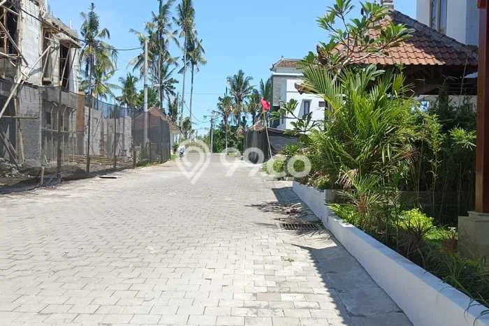 Disewakan Cepat Rumah Kondisi Bagus di Area Ubud, Gianyar Disewakan Cepat Rumah Kondisi Bagus di Area Ubud, Gianyar