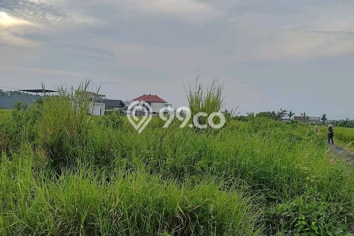 Tanah Siap Bangun Dijual di Tabanan Punya Luas 250m2 Tanah Siap Bangun Dijual di Tabanan Punya Luas 250m2