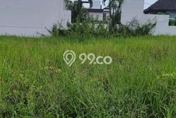 Tanah Kavling Dijual di Cemagi, Badung dengan Luas Tanah 250m2 Tanah Kavling Dijual di Cemagi, Badung dengan Luas Tanah 250m2