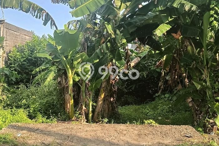Tanah di , Luas 445m2m², Dekat Gianyar, Gianyar Tanah di , Luas 445m2m², Dekat Gianyar, Gianyar