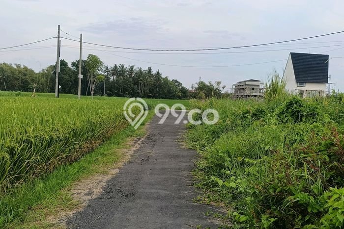 Tanah Siap Bangun Dijual di Tabanan Punya Luas 250m2 Tanah Siap Bangun Dijual di Tabanan Punya Luas 250m2