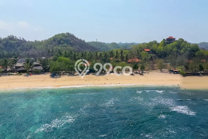 Tanah untuk Dijual Lokasi Pringkuku, Pacitan Luas 3124m2 SHM Tanah untuk Dijual Lokasi Pringkuku, Pacitan Luas 3124m2 SHM