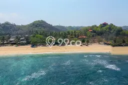 Untuk Dijual Tanah di Pringkuku Pacitan Luas 3124m2 SHM Untuk Dijual Tanah di Pringkuku Pacitan Luas 3124m2 SHM