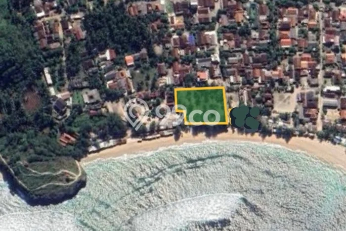 Tanah untuk Dijual Lokasi Pringkuku, Pacitan Luas 3124m2 SHM Tanah untuk Dijual Lokasi Pringkuku, Pacitan Luas 3124m2 SHM