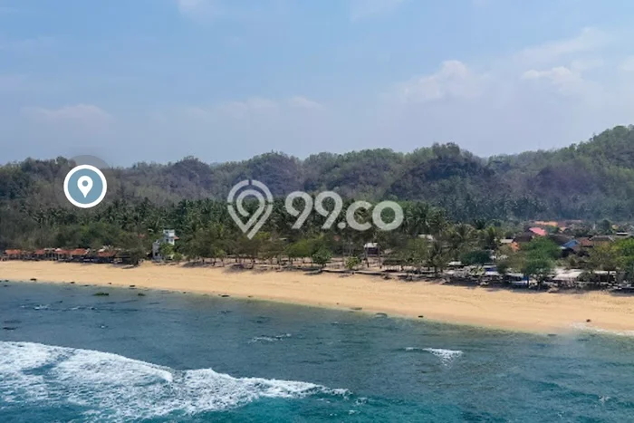 Tanah untuk Dijual Lokasi Pringkuku, Pacitan Luas 3124m2 SHM Tanah untuk Dijual Lokasi Pringkuku, Pacitan Luas 3124m2 SHM