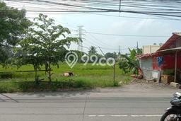 Tanah Dijual Lokasi Rajeg, Tangerang Luas 3612m2 Legalitas Aman Tanah Dijual Lokasi Rajeg, Tangerang Luas 3612m2 Legalitas Aman