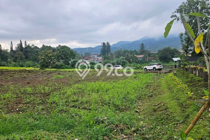 Tanah Dijual di Bogor Seluas 1000m2 Strategis Tanah Dijual di Bogor Seluas 1000m2 Strategis