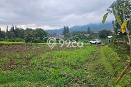 Tanah Dijual di Bogor Seluas 1000m2 Strategis Tanah Dijual di Bogor Seluas 1000m2 Strategis