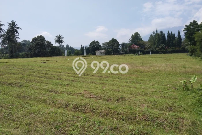 Tanah Kavling untuk Dijual di Megamendung Bogor 212m2 Tanah Kavling untuk Dijual di Megamendung Bogor 212m2