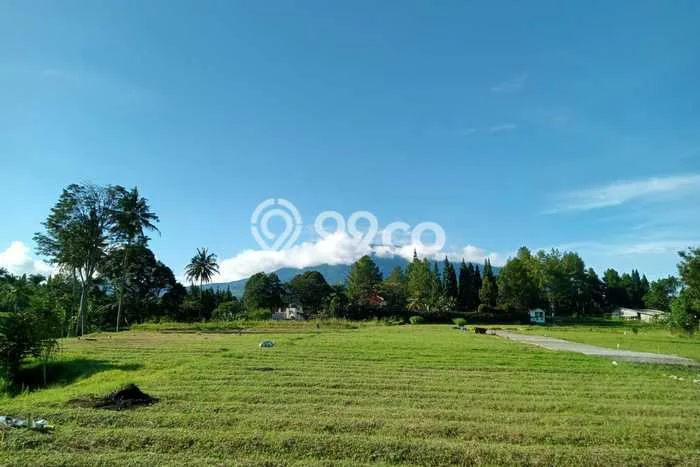 TANAH POTENSIAL! Tanah di , Luas 200m2m², Pinggir Jalan Raya TANAH POTENSIAL! Tanah di , Luas 200m2m², Pinggir Jalan Raya