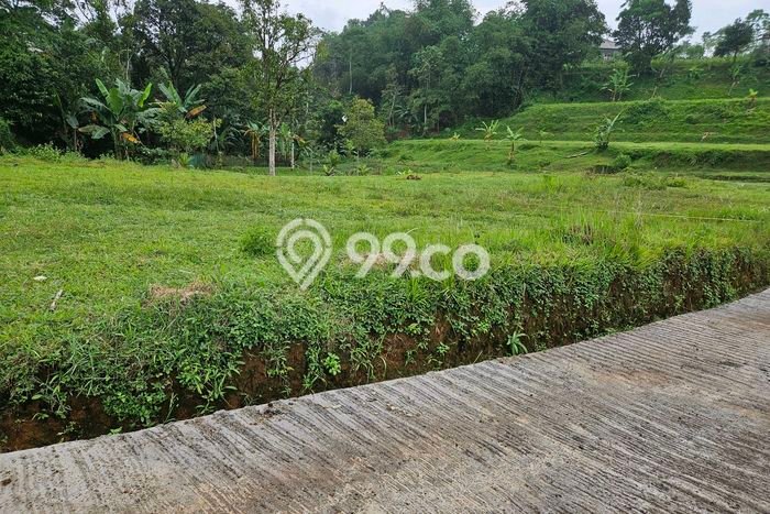 Tanah Strategis Dijual di Megamendung Bogor 300m2 Tanah Strategis Dijual di Megamendung Bogor 300m2