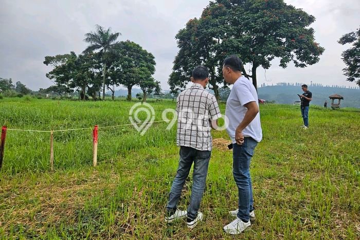 Tanah Dijual Lokasi Cisarua, Bogor Luas 733m2 Legalitas Aman Tanah Dijual Lokasi Cisarua, Bogor Luas 733m2 Legalitas Aman