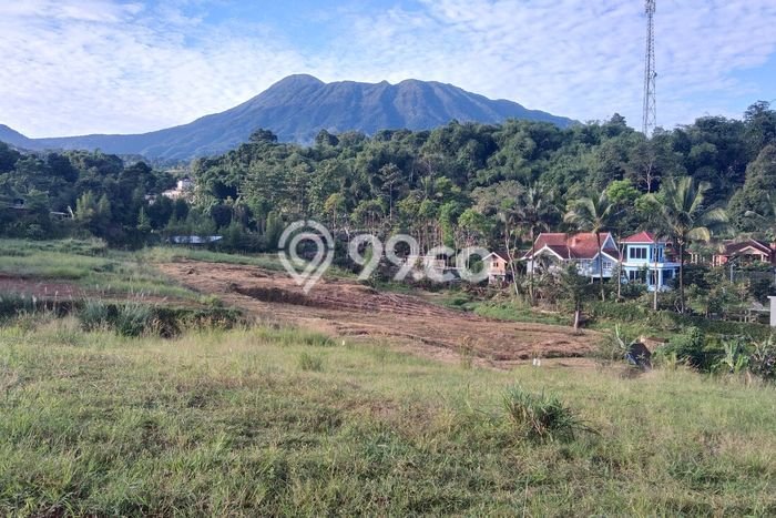 Kavling Tanah untuk Dijual di Puncak, Bogor, Luas 1000m2 Kavling Tanah untuk Dijual di Puncak, Bogor, Luas 1000m2