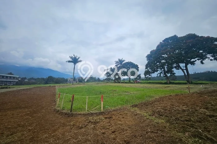 Tanah untuk Dijual Lokasi Cisarua, Bogor Luas 195m2 - Tanah untuk Dijual Lokasi Cisarua, Bogor Luas 195m2 -