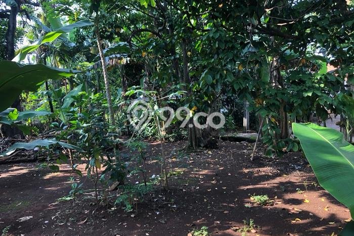Dijual Tanah Lokasi Jati Asih, Bekasi Seluas 637m2 Dijual Tanah Lokasi Jati Asih, Bekasi Seluas 637m2