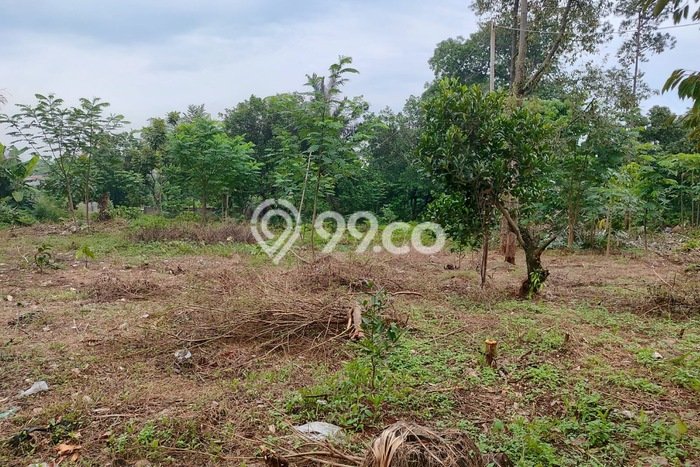 Kavling Tanah Dijual di Citeureup Bogor Spesifikasi 9000m2 Kavling Tanah Dijual di Citeureup Bogor Spesifikasi 9000m2