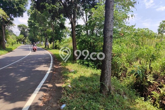 Tanah di Babakan Madang, Bogor Luas 23000m2 Dijual Segera Tanah di Babakan Madang, Bogor Luas 23000m2 Dijual Segera