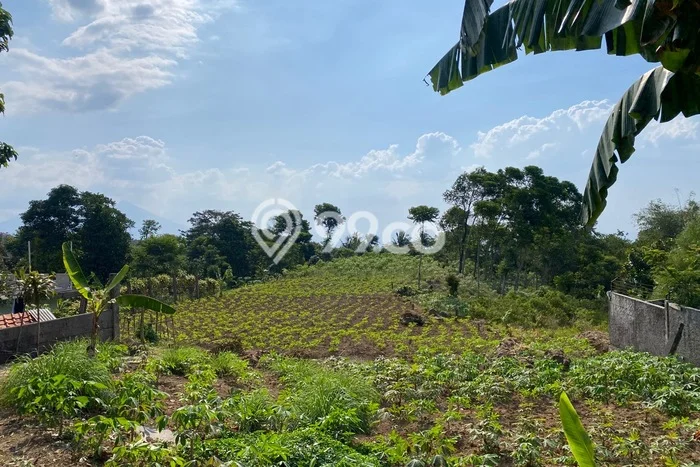 Dijual Tanah 8190m2 di Cijayanti, Bogor Dijual Tanah 8190m2 di Cijayanti, Bogor