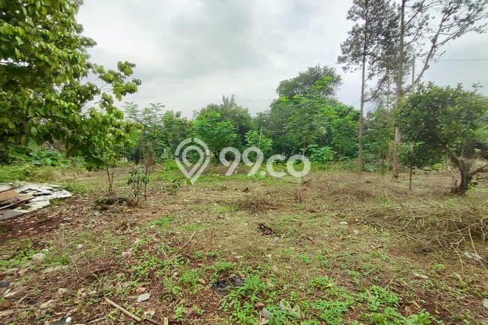 Kavling Tanah Dijual di Citeureup Bogor Spesifikasi 9000m2 Kavling Tanah Dijual di Citeureup Bogor Spesifikasi 9000m2