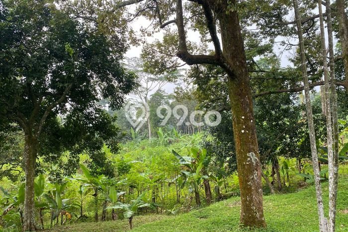 Lahan Dijual Lokasi Sentul City, Bogor dengan Luas Tanah 13000m2 dan Status SHM Lahan Dijual Lokasi Sentul City, Bogor dengan Luas Tanah 13000m2 dan Status SHM